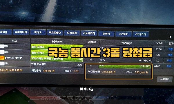 마이볼 먹튀 국농 3폴더