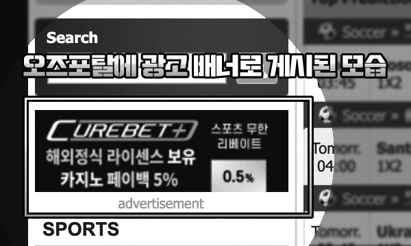 큐어벳 먹튀 오즈포탈 배너