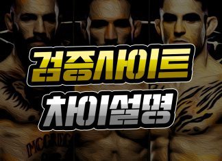 검증사이트 순위 차이 설명