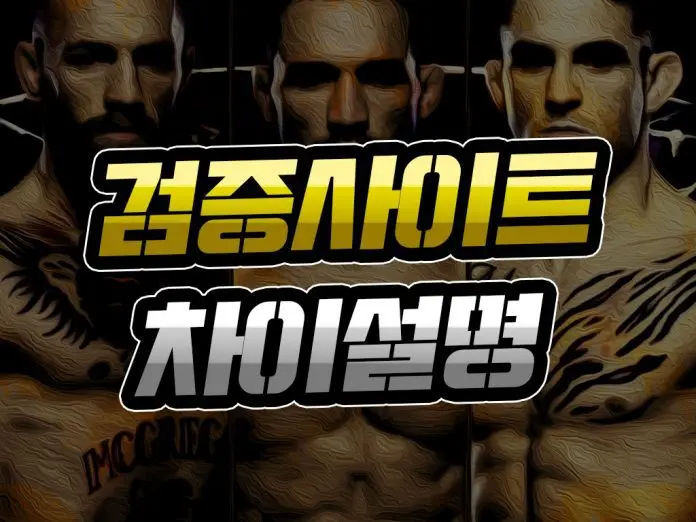 검증사이트 순위 차이 설명