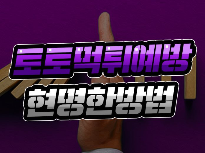 토토 먹튀 예방 현명한 방법