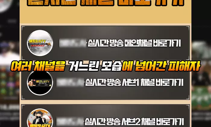 미미 먹튀 여러 채널 거느린 모습