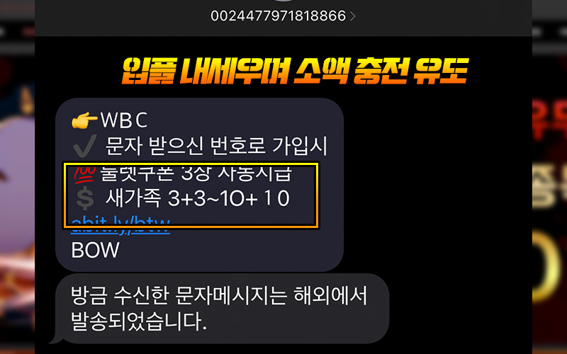 입플 내세우며 소액 충전 유도 후 WBC 먹튀