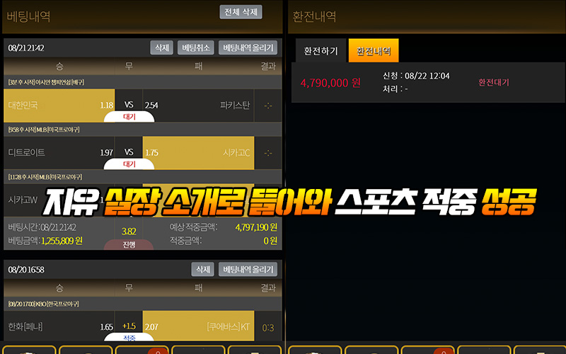 지유 실장 소개로 들어와 스포츠 적중 성공함 그러니 엘리나 먹튀