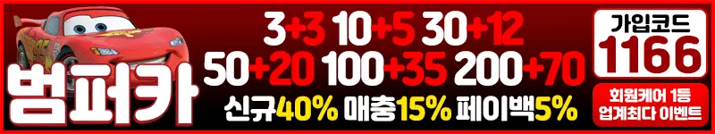 범퍼카 먹튀검증 배너