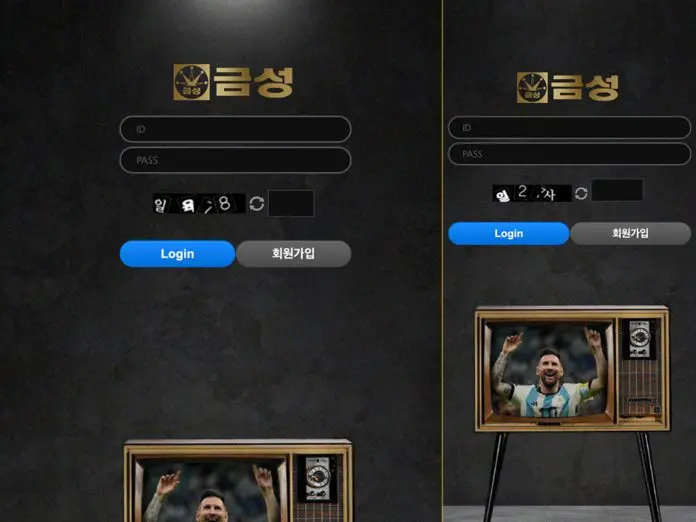 금성 먹튀 팀이 사용하는 레이아웃