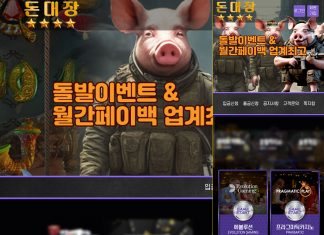 돈대장 먹튀 메인 화면 모습 '돈'은 돼지를 뜻하는 듯