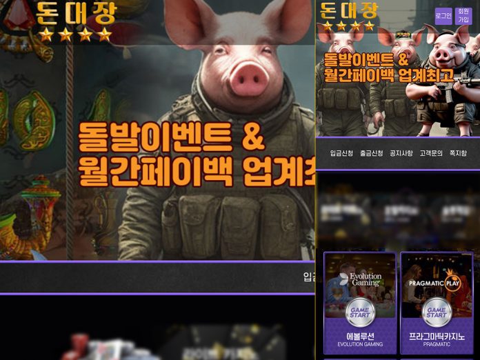 돈대장 먹튀 메인 화면 모습 '돈'은 돼지를 뜻하는 듯