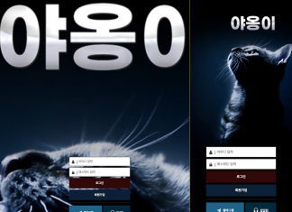 먹튀사이트 야옹이 어색한 외관