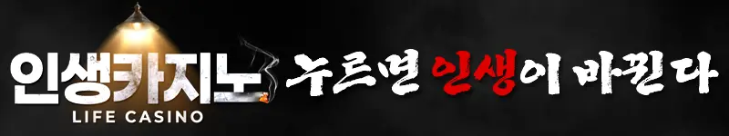 인생카지노 먹튀 안전가입코드 배너
