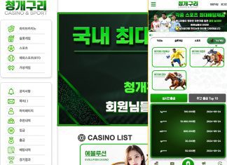 청개구리 먹튀 화면 캡처, 전반적으로 초록색을 사용해 개구리를 연상시킴