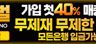 메이저놀이터 여왕벌 먹튀 배너 800