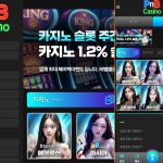 pnb 먹튀 발생처 홈 화면 캡처