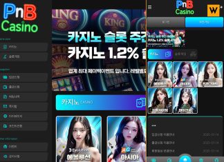 pnb 먹튀 발생처 홈 화면 캡처