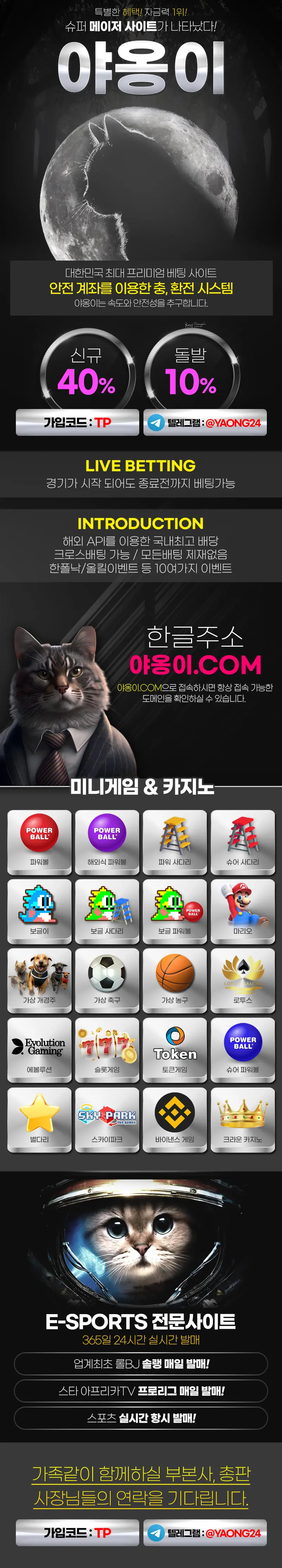 야옹이 먹튀검증 결과 공개 랜딩