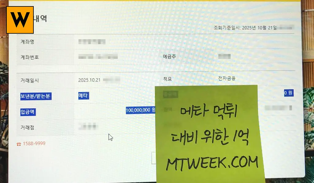 메타 먹튀 대비 위한 1억