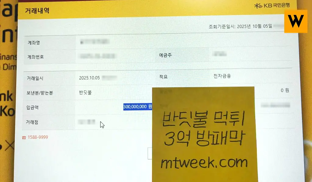 반딧불 먹튀 3억 방패막