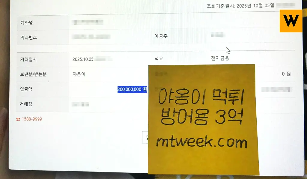 야옹이 먹튀 방어용 3억 수취함