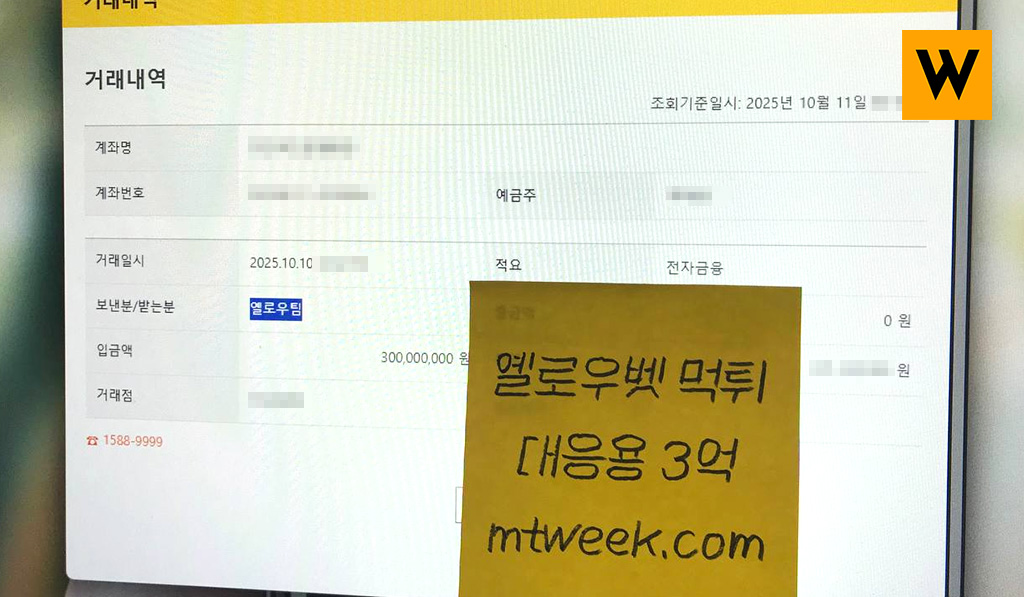 옐로우벳 먹튀 대응용 3억 확보됨