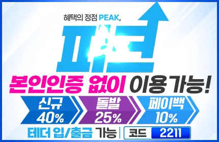 피크 먹튀 직접 확인 배너 본문용