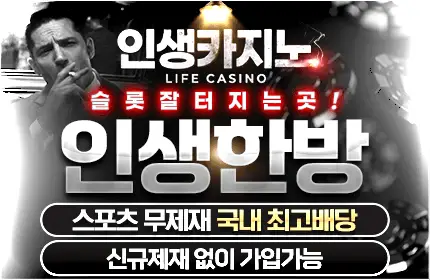 인생카지노 먹튀 안전가입코드 배너 본문용