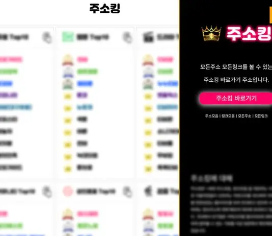 주소킹 먹튀 커버 이미지