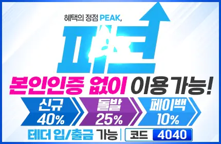 피크 먹튀 직접 확인 배너 본문용