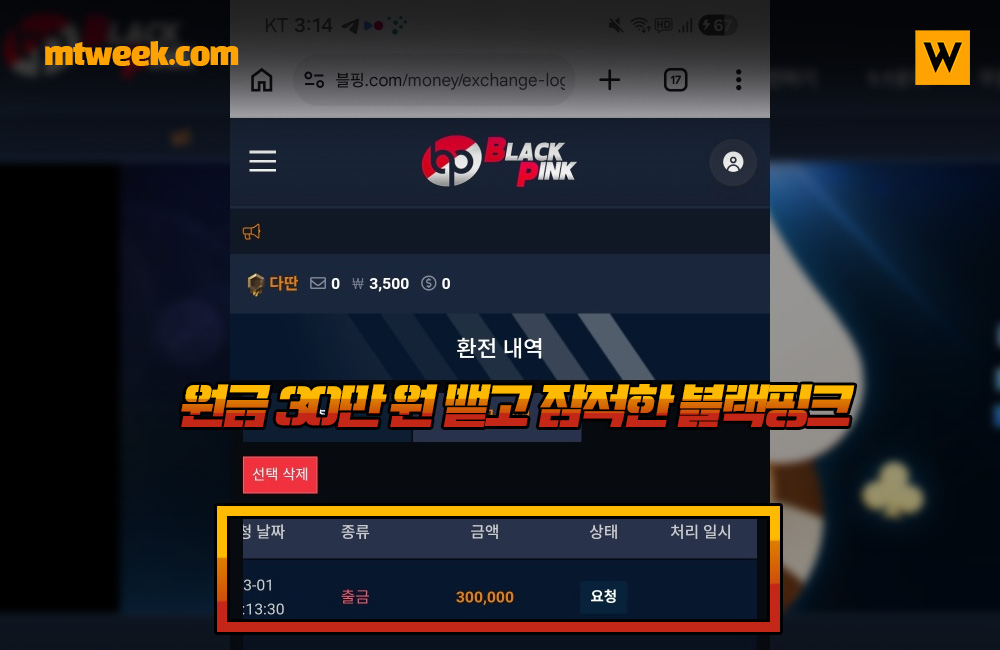 원금 30만 원 뱉고 잠적한 블랙핑크